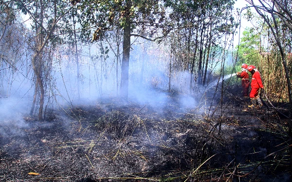 Thumbnail Petugas Manggala Agni DAOPS Banyuasin Sum-XIV berusaha memadamkan api di Kelurahan Talang Betutu Kecamatan Sukarami Palembang, Rabu (11/11/2023). Wahyu Rahmanto