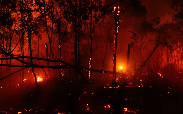Thumbnail Berita - (Berita Foto) Berjibaku Padamkan Api di Pulau Semambu, Ogan Ilir