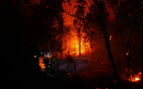 Thumbnail Petugas gabungan berusaha memadamkan api di Deda Pulau Semambu Kecamatan Indralaya Utara Kebupaten Ogan Ilir, Selasa (10/10/2023). Wahyu Rahmanto