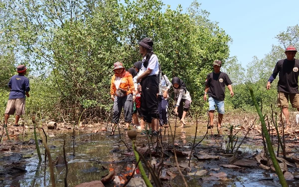 Thumbnail Berita - Ajak Warga Pantai Selatan Tanam Mangrove, Kurangi Risiko Abrasi dan Jadi Potensi Desa Wisata