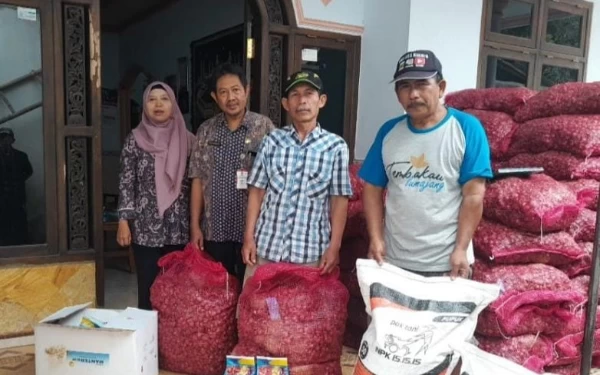 Di Lumajang, Anggaran DBHCHT Dimanfaatkan untuk Bantu Bibit Petani Bawang Merah