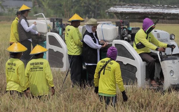 Foto Khofifah Indar Parawansa mencoba alat naik alat pertanian (01/11/2023)(Foto Istimewa/Ketik.co.id)