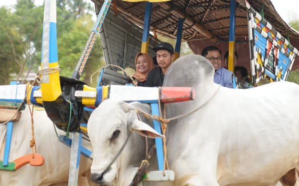 Foto KPH Purbodiningrat (berkacamata) menikmati sensasi naik gerobak sapi. (Foto: Humas Pemkab Sleman)