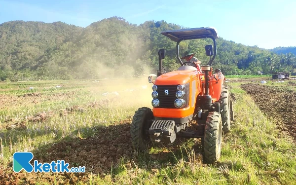 Foto Lahan yang mulai ditraktor petani di musim kedua tahun 2023 lalu. (Foto: Al Ahmadi/Ketik.co.id)