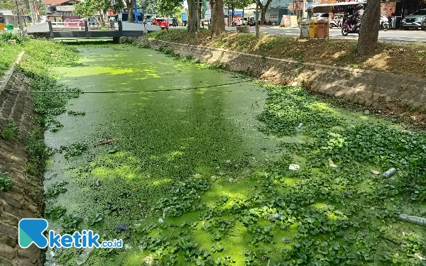 Thumbnail Pemkot Malang Komitmen Bangun Kesadaran Masyarakat dalam Membuang Sampah