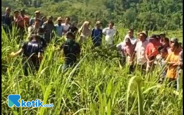 Penemuan Mayat di Ladang Tebu Gegerkan Warga Pakisan Bondowoso