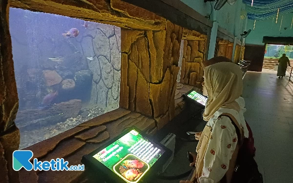 Foto Pengunjung KBS melihat wahana Aquarium, Senin (25/12/2023). (Foto: Khaesar/Ketik.co.id)