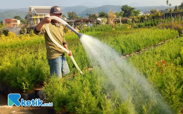 Thumbnail Sensus Pertanian Kota Batu, Sebanyak 13.218 Petani Milenial Bergerak di 140 Usaha Tani