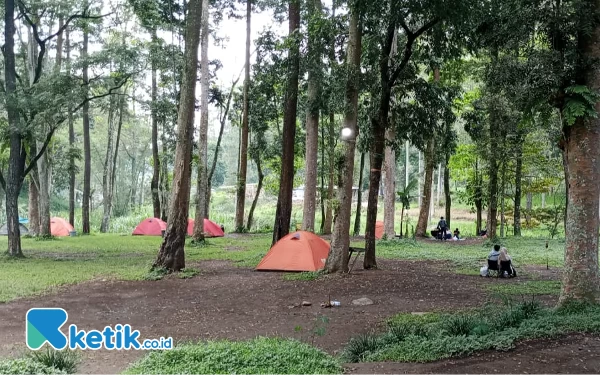 Foto Suasana Merak Pujon Camping Ground, Sabtu (30/12/2023). (Foto (Foto: Sholeh/ketik.co.id)