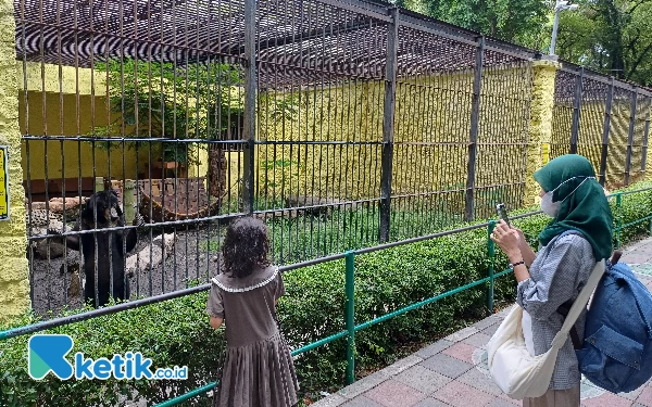 Foto Nikmati suasana malam di night zoo di KBS, Sabtu (30/12/2023). (Foto: Khaesar/Ketik.co.id)