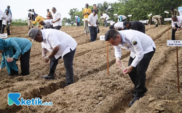 Bupati Freddy Thie dan Pj Gubernur Papua Barat Kompak Pimpin Penanaman  Satu Hektar Jagung