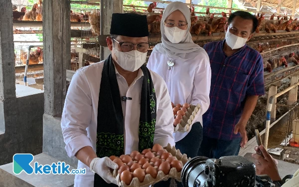 Foto Gus Imin bersama Anggia dan Sukarman saat memanen telur, Kamis (11/1/2024) (foto: Favan/ketik.co.id)