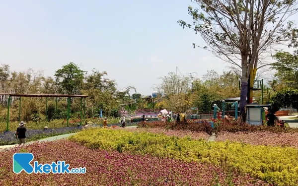 Batu Love Garden, Surga Kebun Bunga di Kota Batu