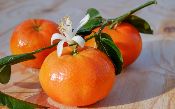 Fakta Jeruk Mandarin yang Selalu Ada Saat Perayaan Imlek