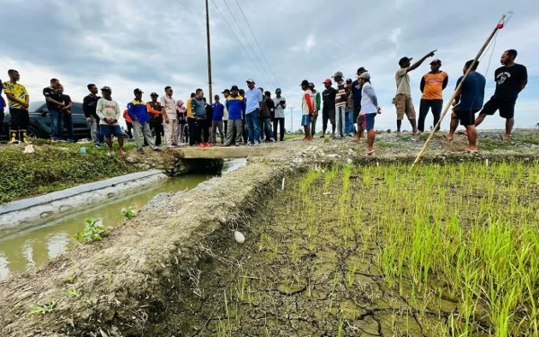 Foto Sejumlah lahan kering yang menjadi perhatian Bupati Kabupaten Banggai. (Foto: Diskominfo Kabupaten Banggai)