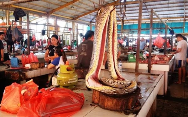 Foto Aneka ragam satwa liar yang dijual di Pasar Tomohon. (Foto: Pemkot Tomohon)