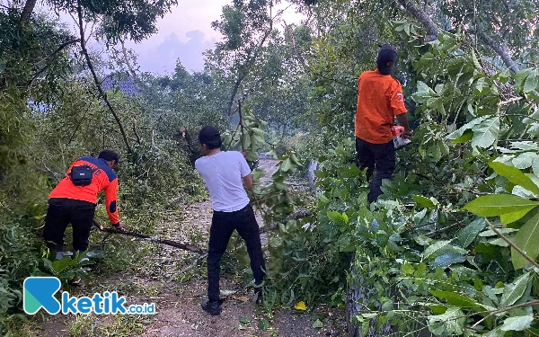 Foto BPBD Pamekasan sedang rabas-rabas pohon tumbang akibat cuaca ekstrim. (Foto:  Tim BPBD Pamekasan)