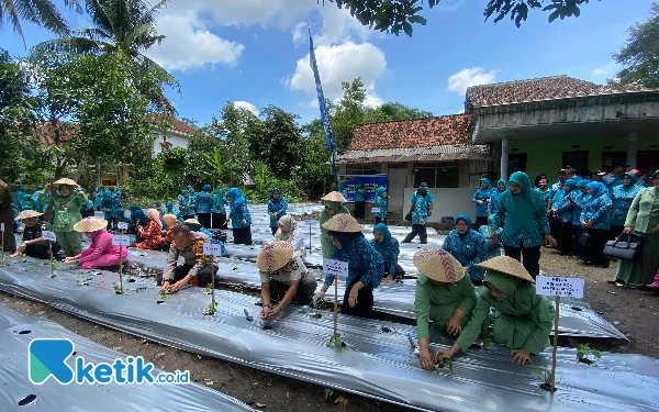 GAS TANCAP Jadi Cara Penggerak PKK Bondowoso Bantu  Stabilisasi Harga Cabai