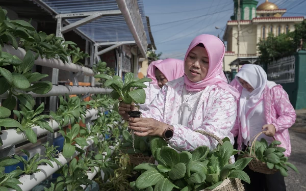 Thumbnail Berita - Keren! Program BRInita Sulap Lahan Sempit Jadi Urban Farming Produktif