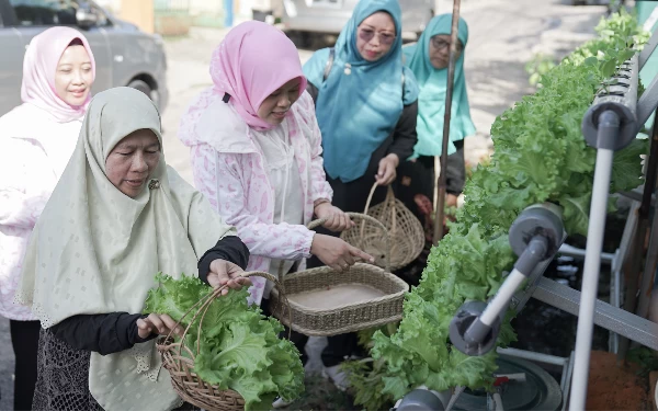 Foto Warga Kelurahan Surabaya, Kecamatan Kedaton, Kota Bandar Lampung melakukan urban farming. (Foto: BRI)