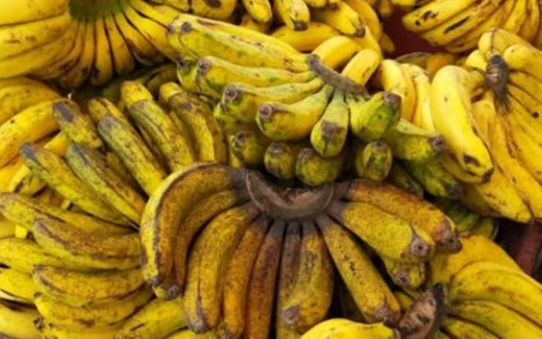 Foto Buah Pisang. (Foto: cybex.pertanian.go.id)