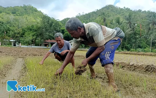 Tunggu Hasil Lab Investigasi GLI Pacitan, Gakkum KLHK Bersiap Surati Bupati