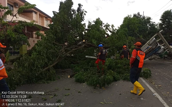 Foto Pohon tumbang yang ada di Kecamatan Sukun. (Foto: BPBD Kota Malang)