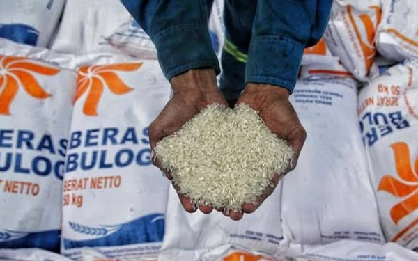 Bulog Jember Serap 270 Ton Gabah untuk Penuhi Pasokan Beras Premium