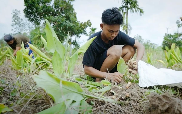 Foto Aktifitas masyarakat desa Ibru Muaro yang terletak di Kecamatan Mestong, Kabupaten Muaro Jambi. (Foto: BRI)