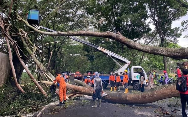 Thumbnail Personel DLH Kota Malang Tetap Bertugas Hingga Lebaran