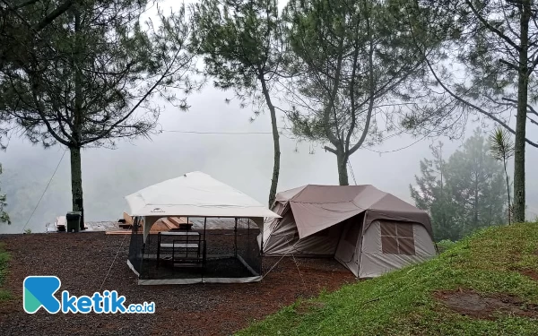 Foto Tenda Korea Glamping berjajar di Batu Campsite.(Foto: Sholeh/ketik.co.id)