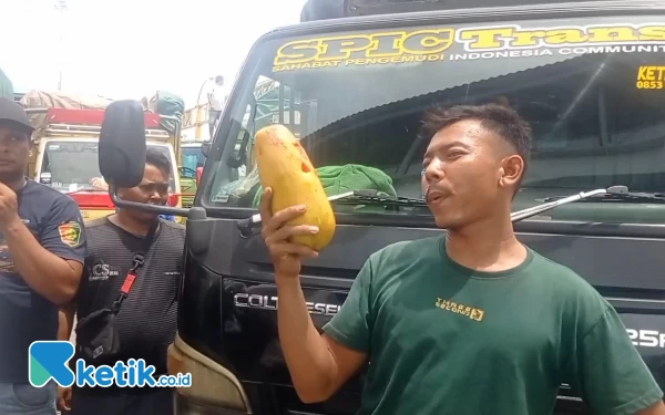 Foto Foto Salah satu sopir truk memperlihatkan buah-buahan yang mulai membusuk