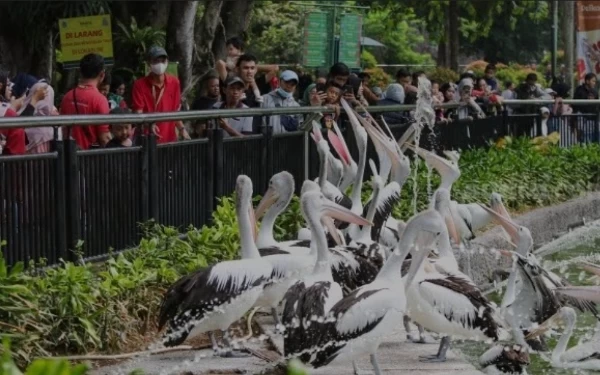 Libur Lebaran, 30 Ribu Pengunjung Padati Taman Taman Satwa Ragunan