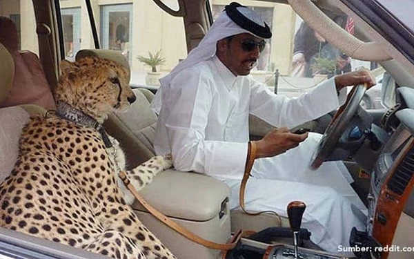 Thumbnail Unik, Inilah Simbol Kekayaan Para Orang Kaya Dubai