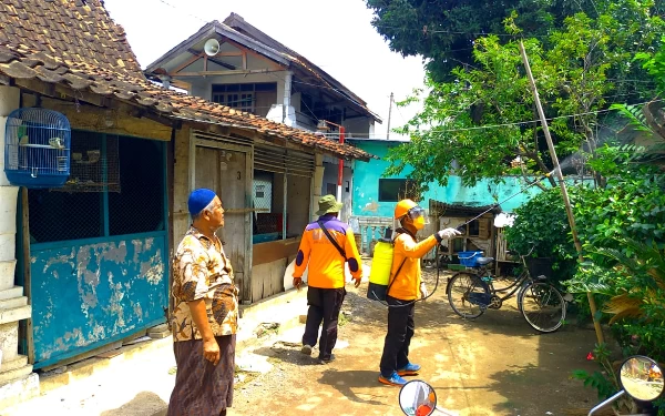 Warga Kelurahan Mimbaan Resah Diserang Ulat Bulu, BPBD Situbondo Semprotkan Cairan Pestisida