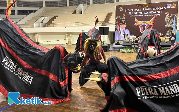 Thumbnail Festival Bantengan Kedungkandang Kota Malang Dibuka, 120 Banteng Bakal Tampil Hibur Warga