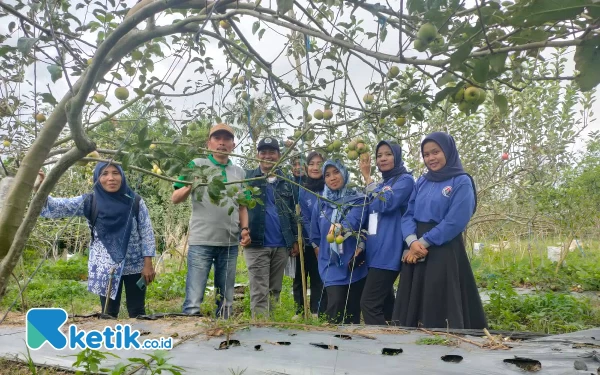 Foto Agrowisata petik apel sendiri di Desa empat suku menanti (Foto: Soleh Siregar for ketik.co.id)