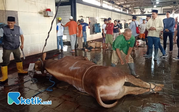 Thumbnail Permintaan Meningkat, RPH Kota Malang Butuh Tambahan Juru Sembelih