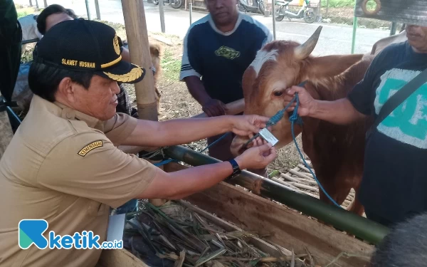 Jelang Idul Adha, Petugas Pemeriksaan Telah Disebar di Titik Penjualan Hewan Kurban Kota Malang