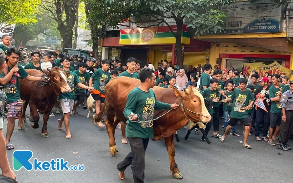 Tradisi Arak-arakan Hewan Kurban Hebohkan Warga Kota Malang