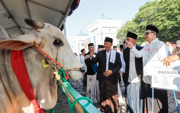 Foto Pj Gubernur Jatim Adhy Karyono melihat kondisi sapi Presiden RI Joko Widodo, Senin (17/6/2024). (Foto: Humas Jatim)