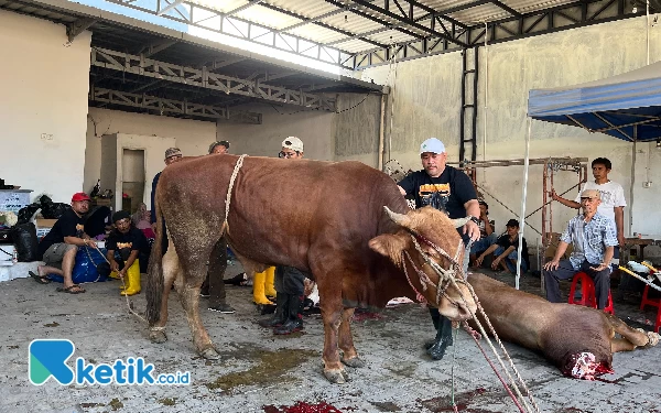 Thumbnail Berita - Sisihkan Uang Hasil Kerja, Sejumlah Wartawan Kurban 4 Ekor Sapi dan 2 Ekor Kambing