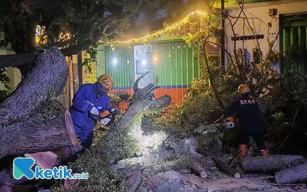 Pohon Tumbang di Kota Batu Rusak Teras Toko