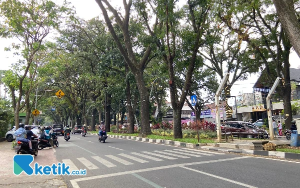 Thumbnail Berita - Marak Kecelakaan, DLH Kota Malang Akan Tinggikan Kanstin Jalan Veteran