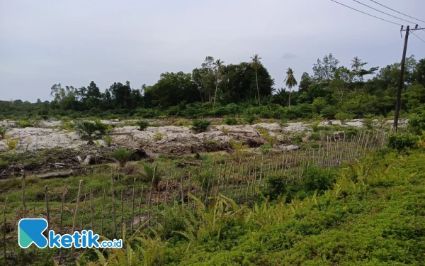 Thumbnail PT Raja Marga di Simeulue Aceh Disebut Serobot Lahan Warga, Ini Penjelasannya