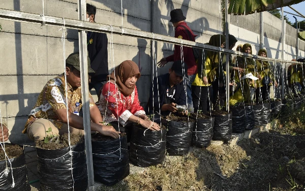 Harga Cabai Mahal, DKPP Surabaya Ajak Warga Manfaatkan Lahan untuk Urban Farming