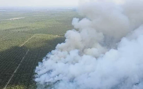 Thumbnail Ganggu Jarak Pandang Penerbangan, Kebakaran Lahan di Banyuasin Terus Membara