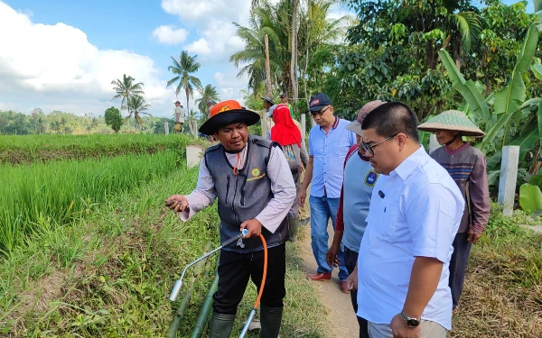 Atasi Hama Tikus, Kadin Lumajang Dirikan Rubuha dan Bantu 5 Kuintal Belerang