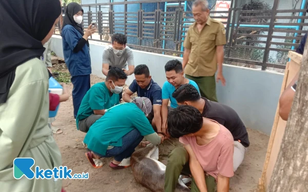 BBKSDA Jatim Bakal Evaluasi Lembaga Konservasi Madiun Umbul Square