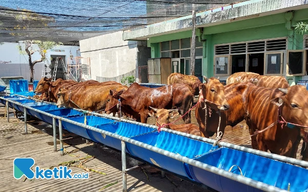 RPH Surabaya Cari Keberadaan Penyebar Video Stunning RPH Pegirian